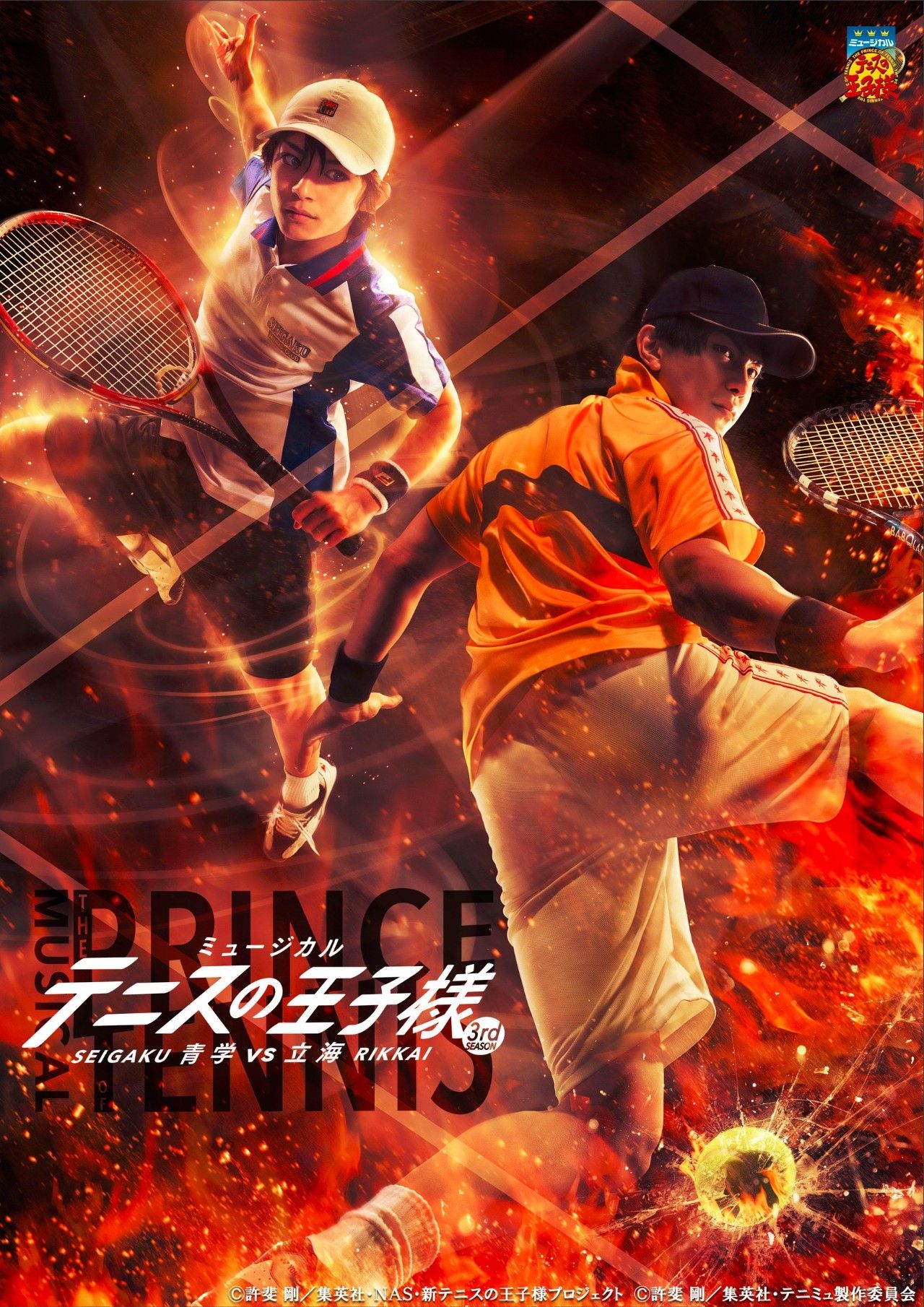 熊猫体育-网球夜战:关东飞鹰队淘汰对手燕赵犀牛队,临门一脚致胜轮换效果显现的简单介绍