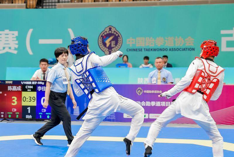 熊猫体育- 跆拳道半决赛上演强强对话,塞北猎隼队读秒扳平岭北银狐队,团队配合流畅;赛场纪律更严谨